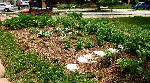 Electroculture in Backyard Garden